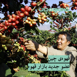 قهوه‌ی چین، عضو جدید بازار قهوه