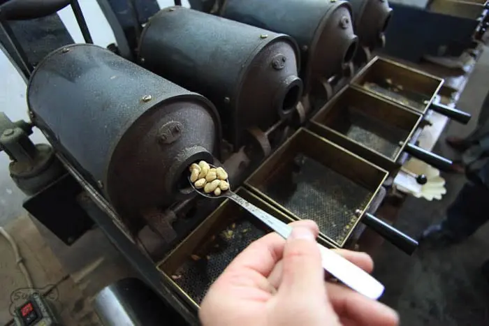 دستگاه برشته‌کاری چهار سیلندری پروبات در حال تست نمونه‌های کوچک قهوه. فردی با استفاده از قاشق نمونه‌گیری، دانه‌های قهوه سبز را از یکی از سیلندرها خارج کرده تا مرحله‌ی برشته‌کاری بررسی شود.